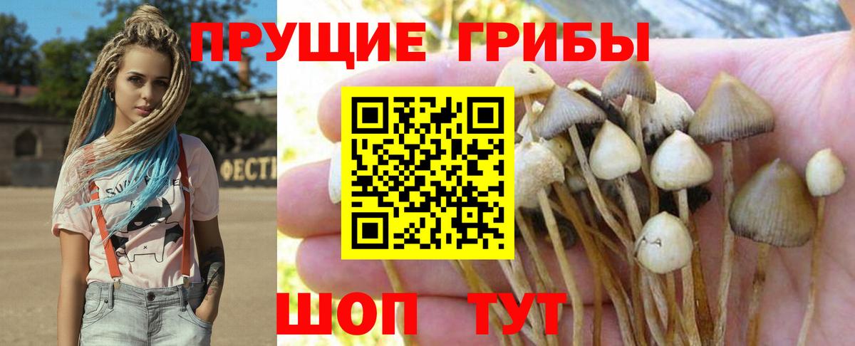 Галлюциногенные грибы GOLDEN TEACHER Асбест